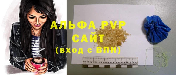 apvp Алзамай