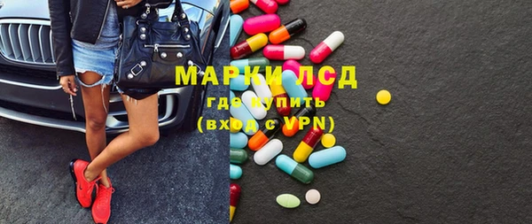 apvp Алзамай