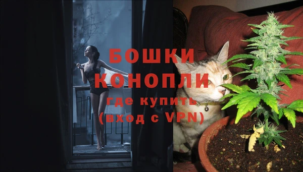 apvp Алзамай