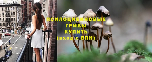 apvp Алзамай
