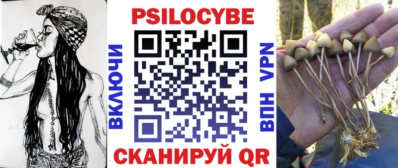 Галлюциногенные грибы Psilocybine cubensis  Евпатория 