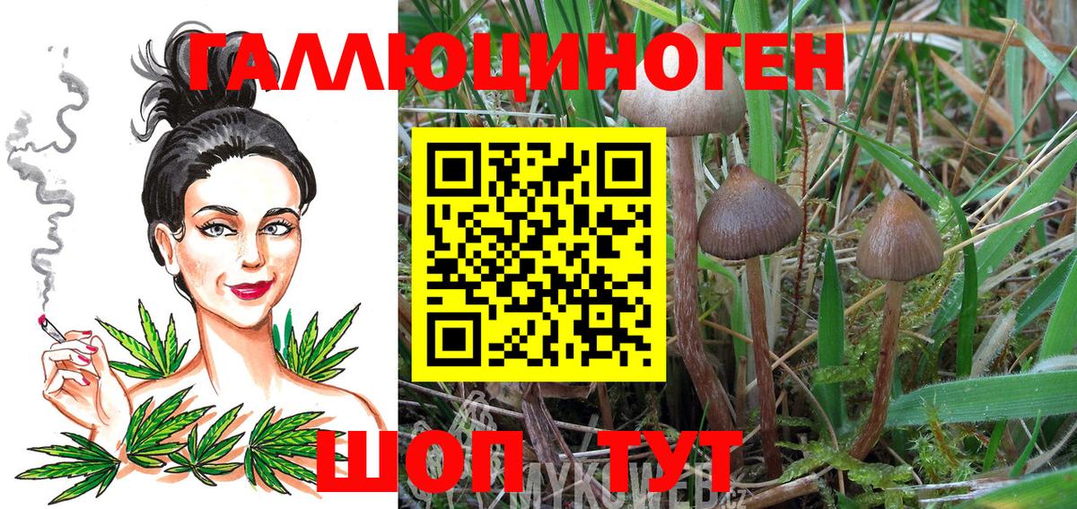 Псилоцибиновые грибы GOLDEN TEACHER  Вход с VPN  Галлюциногенные грибы мухоморы  Евпатория 