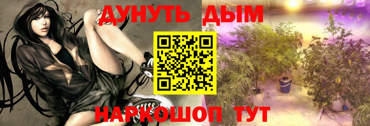 Шишки марихуана OG Kush  Конопля планчик  Вход с VPN  Евпатория  Конопля SATIVA & INDICA  Конопля ГИДРОПОН 